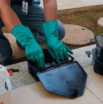 Serviços de dedetização na Vila Independência